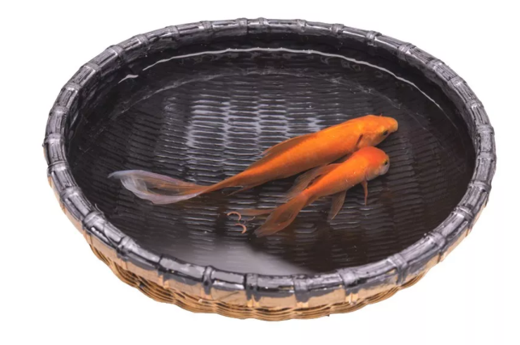 微信截图_20200325143345.png